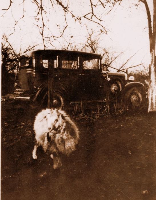 Attached picture Grandpa's 31 and Goat small size.JPG